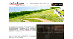 Desktop Screenshot of glucksolutions.org